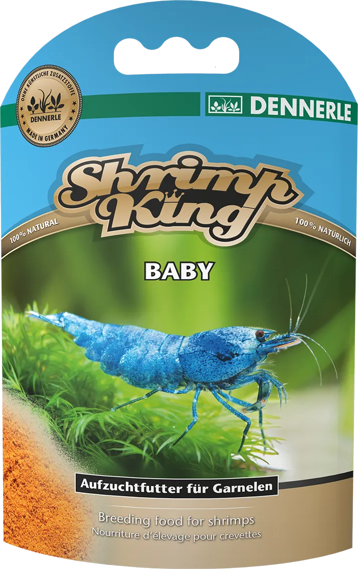 DENNERLE Shrimp King (Baby)